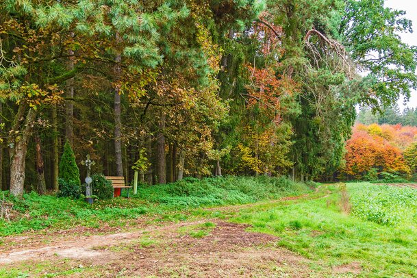 Thumbnail: 27_JA14169 Schmied.jpg